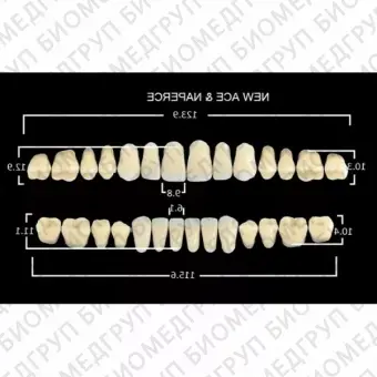 Гарнитуры пластмассовых зубов SS2 M28, цвет A2, 28 шт.