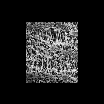 Фильтр, Флуоропор, d пор 1,0 мкм, d мембраны 47 мм, 100 шт., Merck Millipore, FALP04700