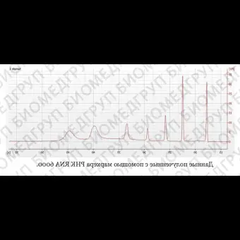 Маркер РНК, RNA 6000, от 200 п.н. до 6000 п.н., 150 мкг/мл, Thermo FS, AM7152, 3x20 мкл