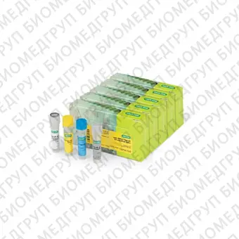 Набор iScript gDNA Clear cDNA Synthesis Kit для синтеза кДНК25 реакций