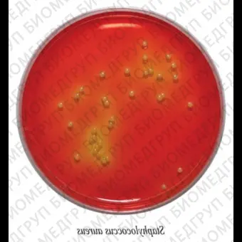 Среда 10 для идентификации Staphylococcus aureus ГРМ 0,25 кг
