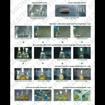 Агар селективный HiCrome для грибов Candida для дифференциации HiEncap ФСЗ 2009/03705