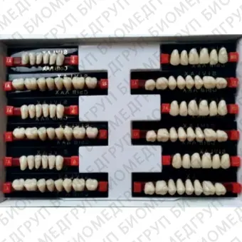 Зубы искусственные Сывлах 328 шт 425 A3