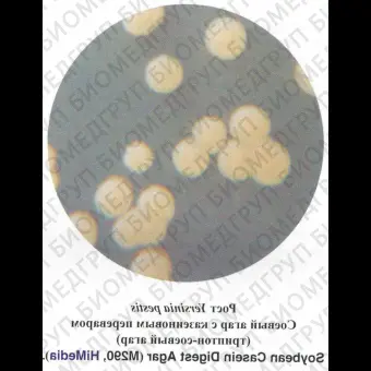 Агар соевый с казеиновым переваром триптонсоевый агар 500 г ФСЗ 2009/03707 ГОСТ Р 524262005