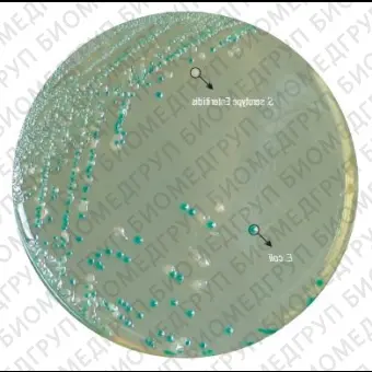 Агар HiCrome для обнаружения и подсчета E. coli 500 г ФСЗ 2009/03705