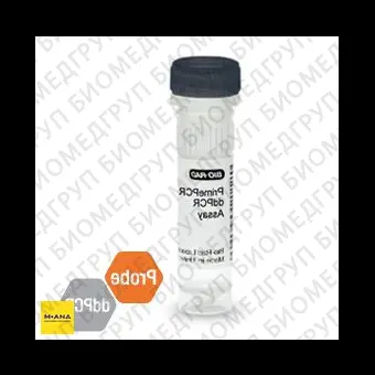 Набор BRAF V600K мутация PrimePCR ddPCR, 200 реакций, BioRad, 1863101