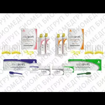 АСиликон Presigum Putty Kit Base Catalyst /Fast Set 2 х 250мл Light Body/Fast Set 2x50 мл