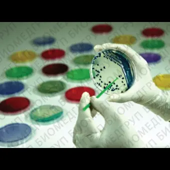 Агар селективный HiCrome для выделения Acinetobacter spp. по Лиду основа 500 г ФСЗ 2012/12473