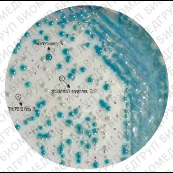 Агар HiCrome для выделения и дифференциации E.coli O157:H7 100 г ФСЗ 2009/03705