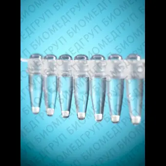 Тестнабор для выделения ДНК из чистой воды, 24 реакций, Legionella Extraction Kit I, 24 реакций, набор/уп, Thermo FS, D101001