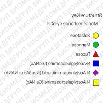 Стандарт Nгликанов AdvanceBio InstantQ G0FN/FA1 ранее ProZyme. Nгликан асиало, агалакто, биантенный комплекс Nгликан1 Nацетилглюкозамин и с сердцевинной фукозой, меченный InstantQ для использования в качестве качественного стандарта с системой