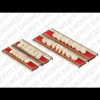 Spofadent Plus С1 1/440/01/65