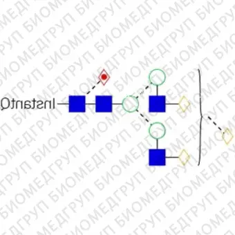 Стандарт Nгликана AdvanceBio InstantQ G2FGa1 / FA2G2Ga31 ранее ProZyme. Nгликан асиало, галактозилированный двухантенный комплекс с 1 13 галактозой и основной фукозой, меченный InstantQ, для использования в качестве качественного стандарта с