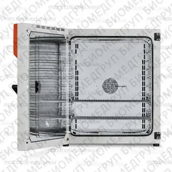 Микробиологический инкубатор Binder BF 240