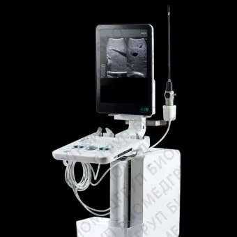 Ультразвуковой сканер на платформе, компактный bk5000