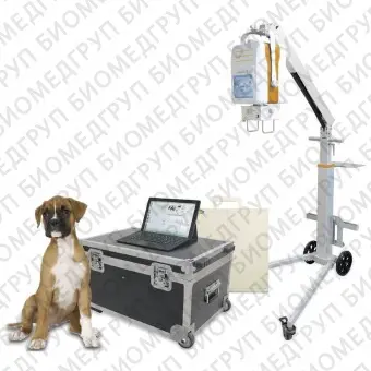 Ветеринарная рентгенографическая система Beatle05VBS
