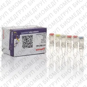 Набор для проведения прямой ПЦР Phusion Blood Direct PCR Kit из цельной крови без предварительного выделения ДНК, Thermo FS, F547L, 500 реакций