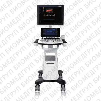 Ультразвуковой сканер на платформе SonoRad V10