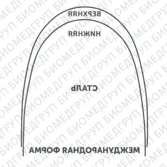 Дуги ортодонтические международная форма Нержавеющая сталь для нижней челюсти SS L .018/.46