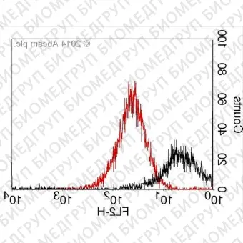 Набор для конъюгации антител PE / RPhycoerythrin Conjugation Kit, LightningLink, Abcam, ab10291860, 60 мкг