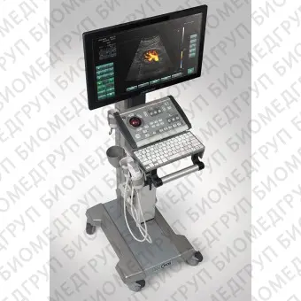 Ультразвуковой сканер на платформе, компактный SPINEL II