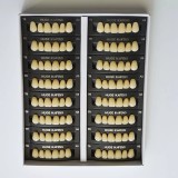 Зубы акриловые 3х слойные Kaifeng (гарнитур 28 зубов) HUGE DENTAL (T3A3)