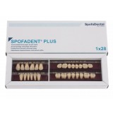 Spofadent Plus (А4) 1/48-0/6-1/72