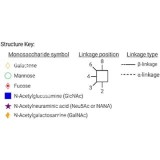 Стандарт N-гликанов AdvanceBio InstantAB G0F / FA2 (ранее ProZyme)